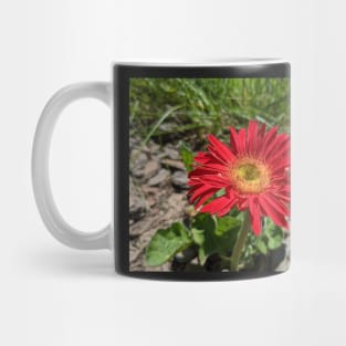 Red Gerber Daisy 1 Mug